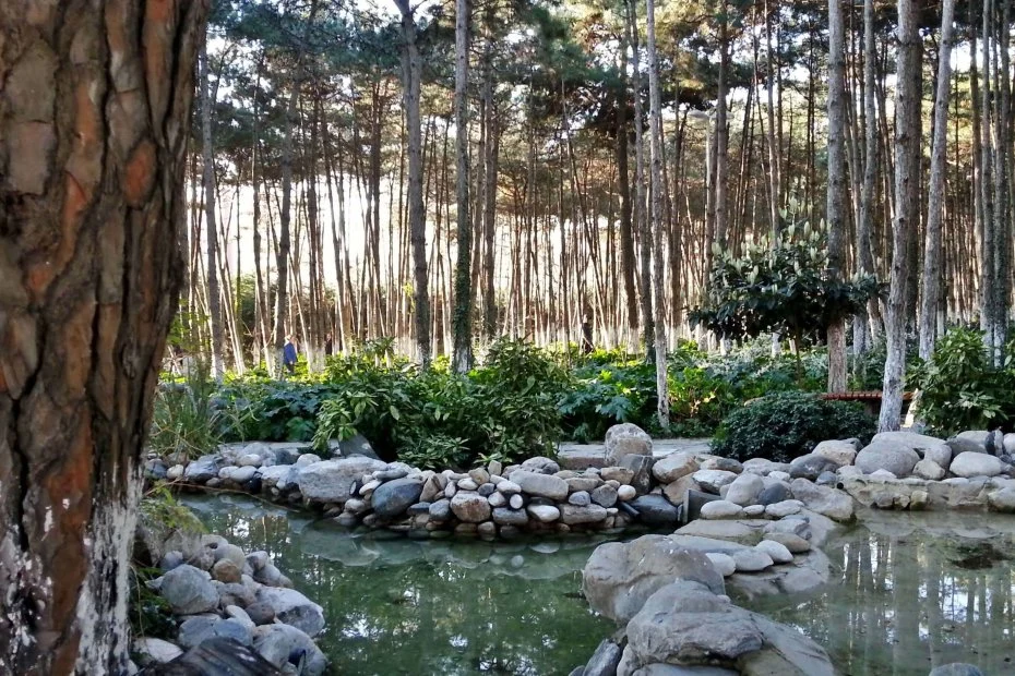 West İstanbul Marina